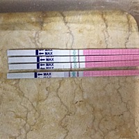 第一根，5.22，同房。第二根5.23早上，第三根5.23晚上，看着强阳，赶紧同房。第四根5.24早上测的，感觉...