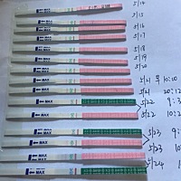 排卵试纸转弱了吧？过几天可以测怀孕？我这两天测了都是白板……难过