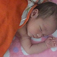 社会人。小大姐