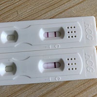 二胎，应该是有了，上面个是测完一个小时的，下面个是测了几十秒的结果。次末上个月27号，13号排卵。胸...