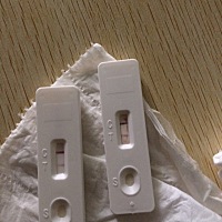 这是怀孕了么，怎么这么淡么