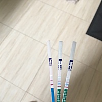 这是怀没怀呢？