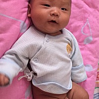 记录、2个月18天宝宝12斤