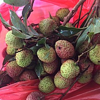 三块钱一斤的荔枝