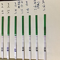 姐妹们！我这怀孕的机率大吗？