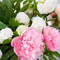 这个世界根本不存在“不会做”和“不能做” 只有“不想做”和“不做”。。。 当你失去所有依靠的时候， ...