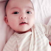 石头两个月19天啦