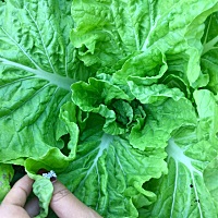 人生在世也就几十年 怎么开心怎么过吧 😁