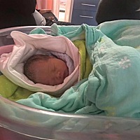 我的小公举  6.4斤 再也不要生宝宝，虽然很痛，但麻麻很幸福。