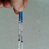 帮我看看有没有怀孕急，离月经还差两天