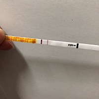 金秀儿的早早孕容易咋胡吗？这是刚刚测的