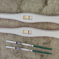 上月4.30来的大姨妈，还是白板，继续等待中，有一天的姐妹们一起聊聊有没有测出来……哈哈😄