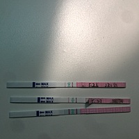 大家看看是不是要排卵了，没写字的是今天就刚才快1点验的