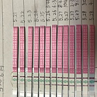 请问各位姐们这是在排卵还是排完了？