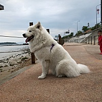 26号例假准时到访，有一丢丢小失落。💪愿下月能有好消息