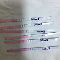 颜色最深那条是刚刚测的，5月8号来月经，为什么这两天体温高很高，很想睡觉，这是排卵期的反应吗？