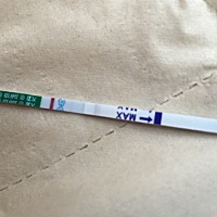 亲们，帮忙看看这是几道杠啊？我看着有一道很浅的，但老公说没有，感觉眼睛都看花了……5月2号的末次月经