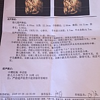 有懂的亲吗？帮我看看是男孩还是女孩？谢谢🙏