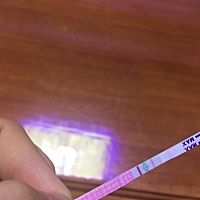 为什么这三天一测出来来的结果是这样子？5月8日来的月经按道理排卵期过了？美女们知不知道是什么原因？