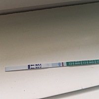 4.30末次月经开始，今天还是大白板～失望……连意念灰都没有～