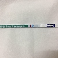 各位帮忙看看是不是怀了，还是意念灰？