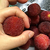 早上刚去山上摘的，又大又红的野生杨梅，好吃还不酸呢。刚怀孕的时候爱吃。生完宝宝就很少吃了。