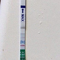 亲们这样算怀孕了吗