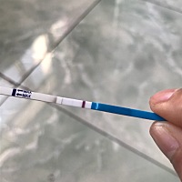 是不是怀孕了，第二天杠不明显