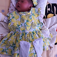 今天过节，我出生12天啦，妈咪给我也准备了小裙子哟