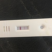 亲，这是什么情况？？？