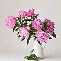 女人，请不要以带孩子为名放弃自己的梦想！若干年后，也许孩子希望拥有的是一个时尚有梦想的妈妈，而不...