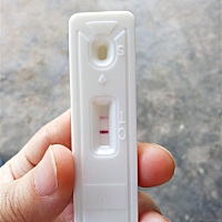 是怀孕了吗，5月1日到15备孕的，怀孕到现在有几天了，还没到医院抽血