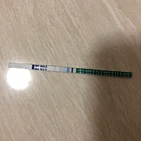 月经已经晚了一个星期了，测了好多次都没中，觉得肯定和上个月一样是月经不调，已经彻底的盼望着快点来...