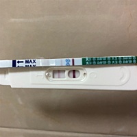 上个月5月20日老公生日的时候第一次尝试要孩子，之前还担心会很难怀孕呢，结果今天晨尿测了下，如下图⬇...