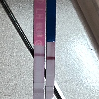 有哪位有经验的妈妈能给我解答一下啊，我最后一次月经是4月26号，5月7号排卵日，到现在试纸还是白板，一...