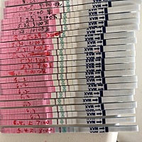 我是昨天下午做的b超，大夫说没有优势卵泡，我真是看不懂这个排卵试纸了，六月一日晚有做功课，6月3日早...