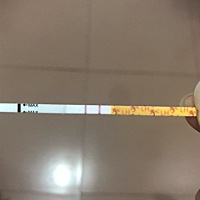 姐妹们，排卵试纸这样，是准备排卵了吗，预计多久排呢？