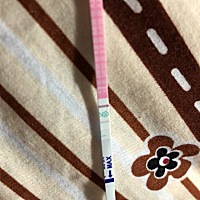 排卵期最后一天了。这几天天天猜测有没有受精成功，有没有开始着床。