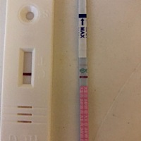 还有一个星期到月经周期，大卫是排卵试纸，另一个是早孕试纸，这是中了还是没中啊！急！