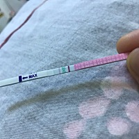 听说排卵试纸可以提前得知是否怀孕，我5月7号的月经，今天测的早早孕大白板，排卵纸是这样的，懂的朋友...