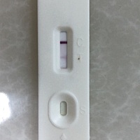 上个月18号来的大姨妈，23号走的。这个月月初是排卵期 但一直没任何感觉，中午用试纸测了一下 淡淡的 但...