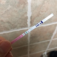 今天该来大姨妈没来，刚才测了下排卵试纸是这个样子的，早孕试纸白板，这是什么情况？