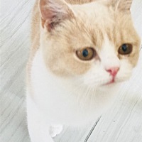 各位，大姨妈期间头疼  ，蹲下起来的时候头疼的明显，怎么能缓解一下呢？？