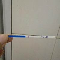 各位，帮我分析看看，这个怀孕了吗？？？