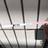 第一张是昨天的 第二张是今天的，颜色开始变浅了 是开始排卵了吗？