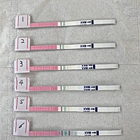 我想问一下各位宝妈 我一直没有避孕 一年了 还没有怀孕 有谁知道怎么回事 1号开始侧排卵 今天刚刚好排卵...