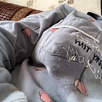 有宝妈漏奶的嘛？好着急，用吸奶器吸了只能前面通，后面的堵了一次不敢吸了，好头疼。