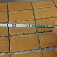 请问这是怀孕了嘛？