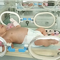 宝宝出生十天就看见三天、住七天院明天探视时间看看宝宝能不能出院、黄疸好了又发烧说c反应蛋白有点高有...