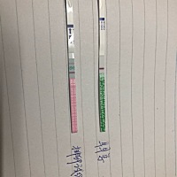 25排的，白的发亮